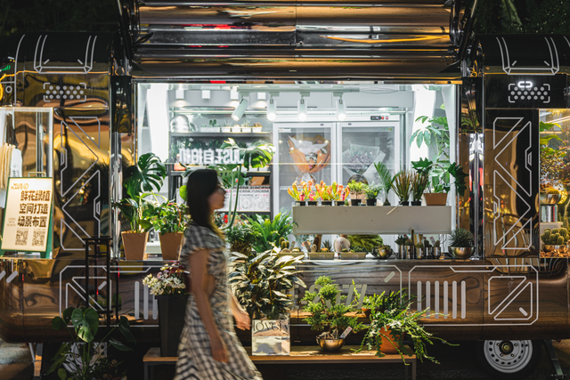 深圳海洋世界攻略，海洋馆、水秀剧场、梦幻巡游…在这里全都有