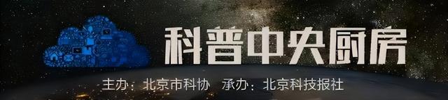 为什么鲸鱼会搁浅，为什么鲸鱼会搁浅英语（有“鲸”无险——鲸鱼搁浅背后发生了啥）