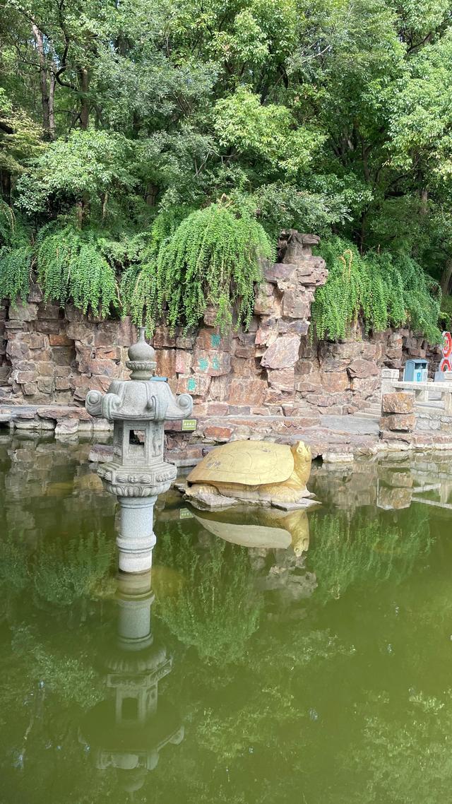 上海到青岛多远，上海到青岛的路程（上海青岛往返1400公里全程无高速沿途城市蜻蜓点水游）