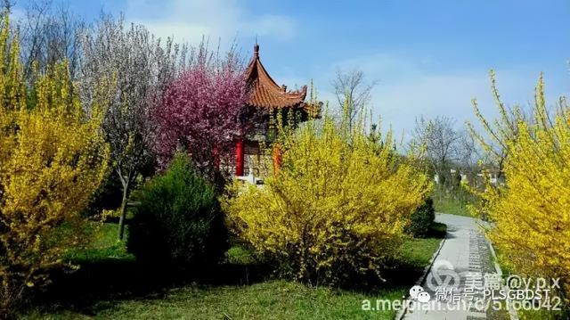 南山公园在哪里，深圳大南山公园开放时间（这是你们熟悉的那个南山公园吗）