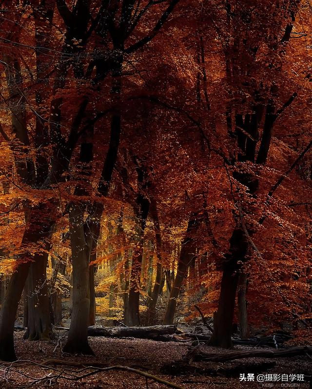 怎么拍照片好看，拍照怎么拍的好看（试试这9个教科书式摄影技巧）