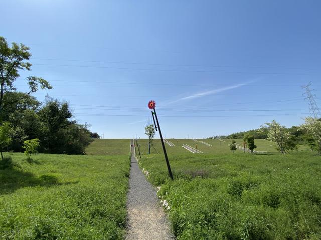 南京周边旅游景点推荐，南京周边自驾游（34个好玩又免费的宝藏公园）