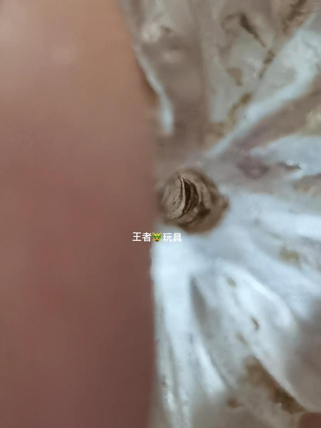 璎珞是什么东西，古代璎珞图片大全（王者玩具-璎珞是啥）