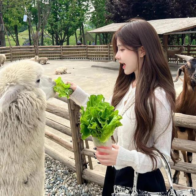 可爱系列.3，可爱系列壁纸（头像/可爱系列图片）