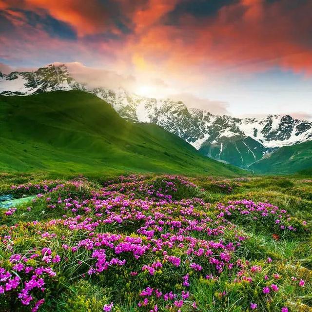 图片，微信头像，图片（清新多彩自然美景）