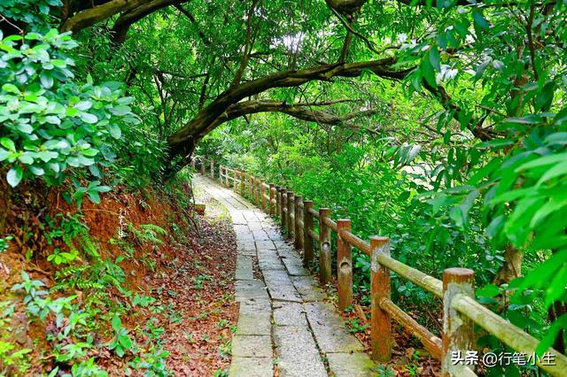 丝绸之路的路线，海上丝绸之路的路线（一条被荒弃在大山里的古道）