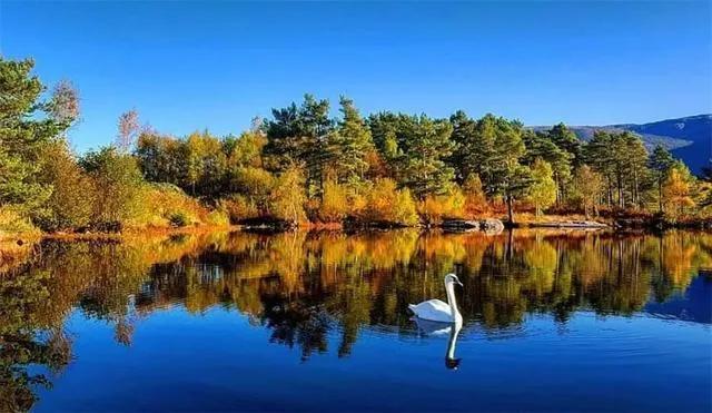 秋天是一个什么样的季节，秋天是一个什么样的季节写一段话（分享绝美秋色：叠翠流金）