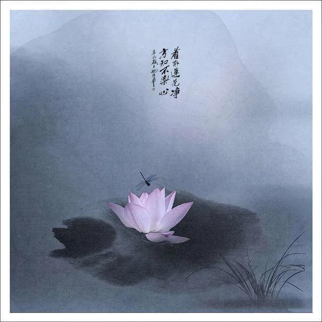 心静的句子，心静的句子 经典语录（20个唯美静心禅语文案）