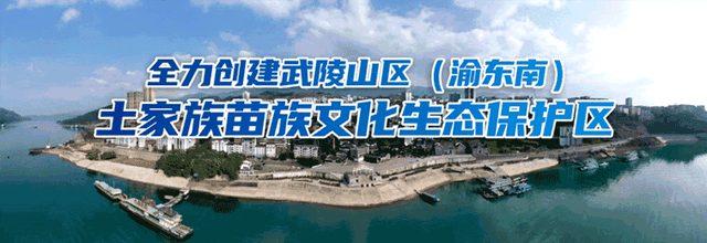 黄水周边游丨森林王国，避暑消夏好去处！