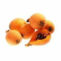 狗狗能吃糯米吗，狗狗最忌讳吃什么食物（这些东西可要小心了）