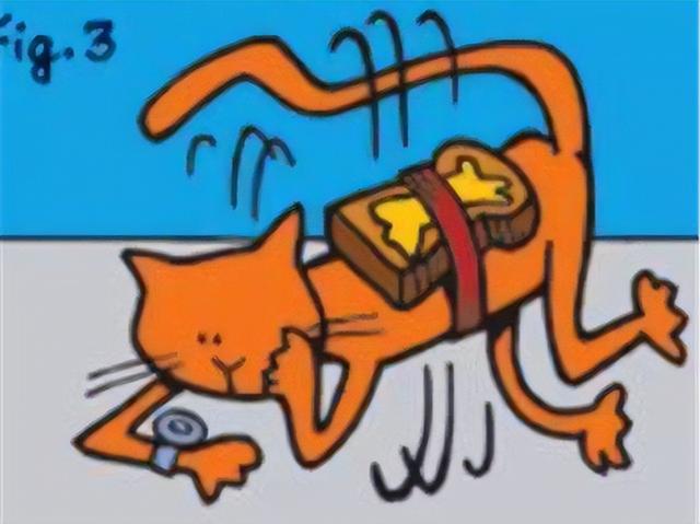 黄油猫悖论是什么东西，猫与黄油理论是什么（它只是一个假知识性的名称）
