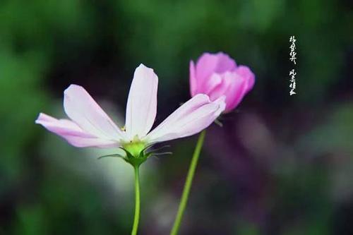 三月三是什么节日有什么风俗，农历三月三是什么节日（三月三是什么节日有什么风俗三月三这天人们要干什么）