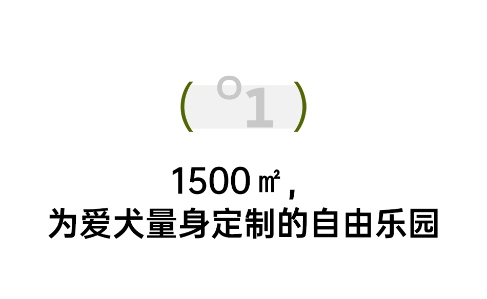 青浦宠物店狗狗最低多少钱 青浦宠物养殖基地