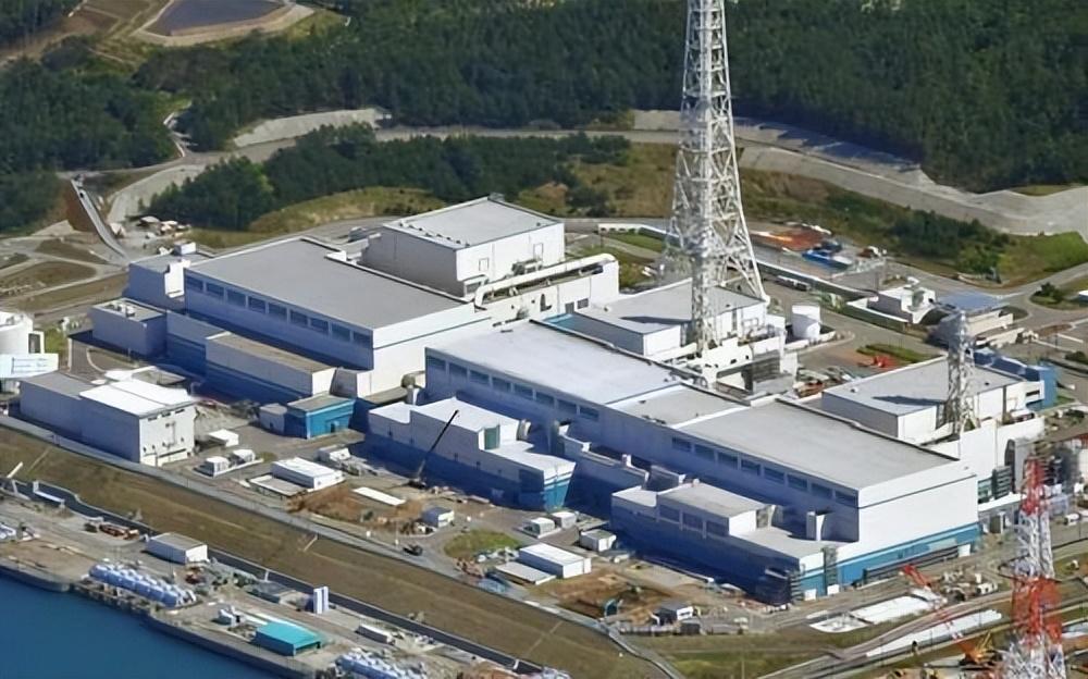 利齿青鱼群，狂乱的利齿青鱼（疑与日本核废水有关）