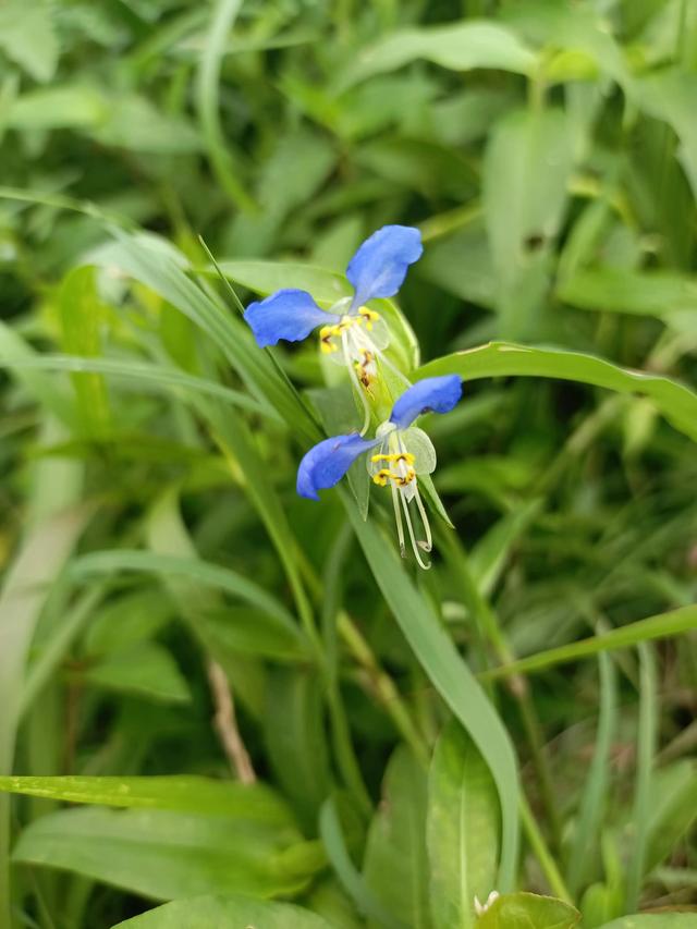 中考前对孩子的寄语或鼓励的话，中考前家长鼓励孩子的一段话（中考考前寄语）