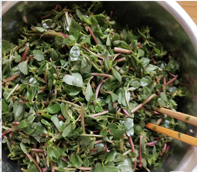 马蜂菜是什么，济宁的马蜂菜你吃过吗