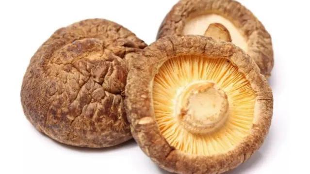 生活小常识，生活小常识文案（会不断增加你的生活小知识）