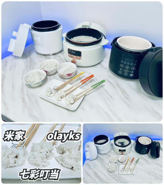 电压力锅炖排骨，电压力锅炖排骨做法（攻略+横评+实测）