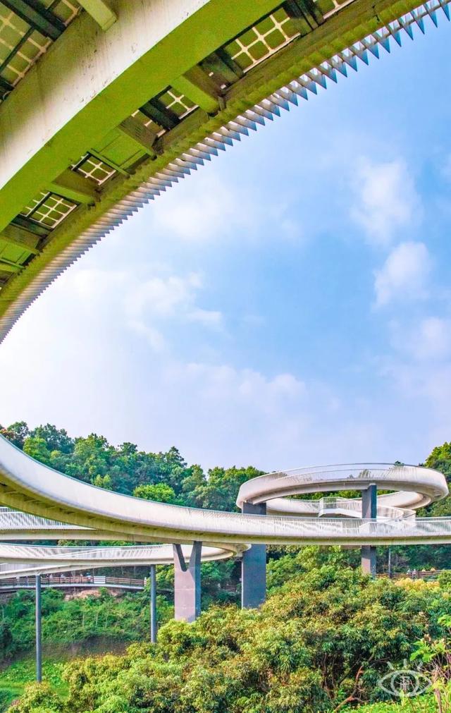 深圳旅游景点大全介绍，深圳的旅游景点有哪些地方（来深圳这10个地方玩吧）