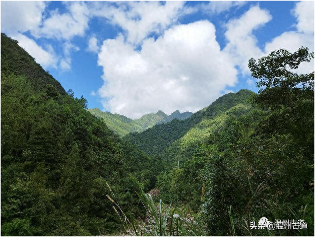 温州这个​休闲栈道与攀爬野路并存的绝美峡谷环线，你可曾去过？
