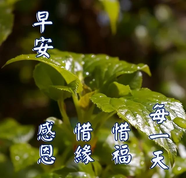 鼓励男人的暖心句子，最能暖到男人心的鼓励话（早安心语，正能量霸气语录说说）