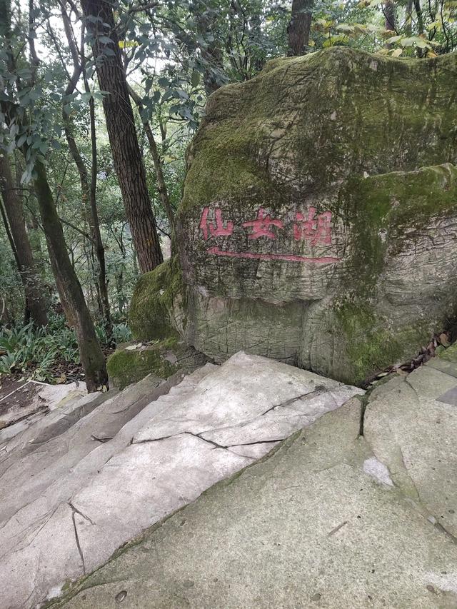 歌乐山森林公园，重庆旅游必去景点（歌乐山国家森林公园）
