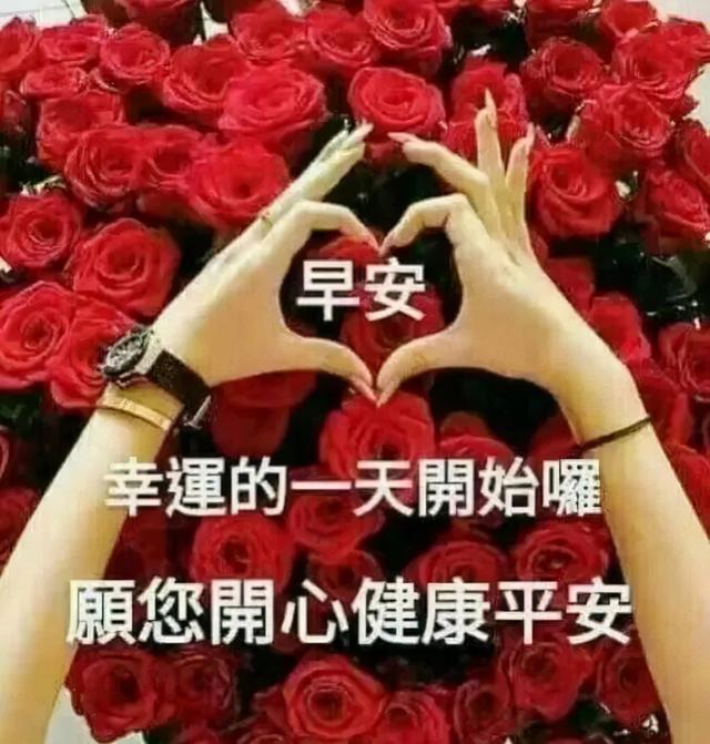一天一句心情早安语，早安正能量简单一句话（祝你天天开心）