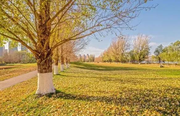 处暑意味着什么，处暑意味着什么变化（“处暑不出伏）