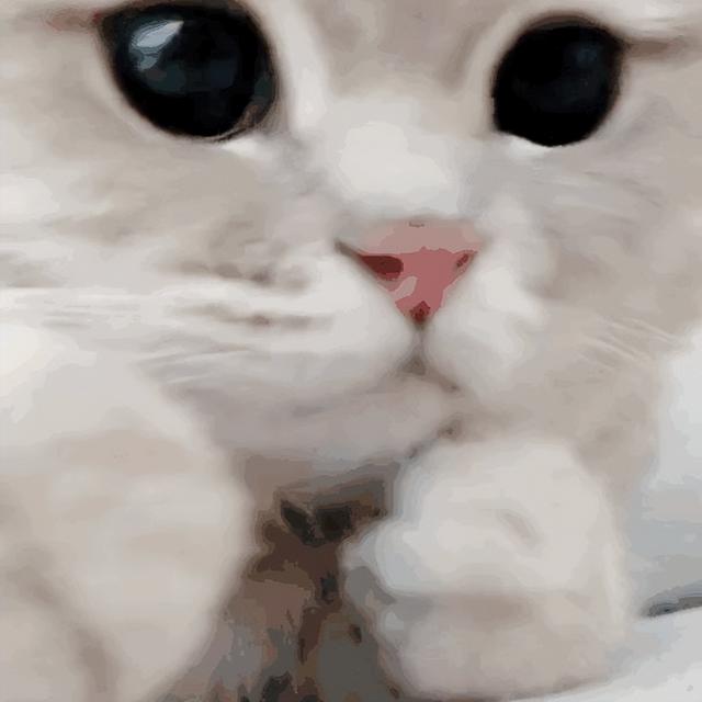 大学军训都有哪些内容 军训需要注意什么，大学军训都有哪些内容（准大一新生军训保命指南）