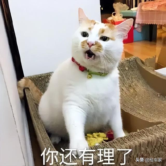 长安福特蒙迪欧致胜，福特蒙迪欧通病有哪些（这位蒙迪欧女车主告诉你）