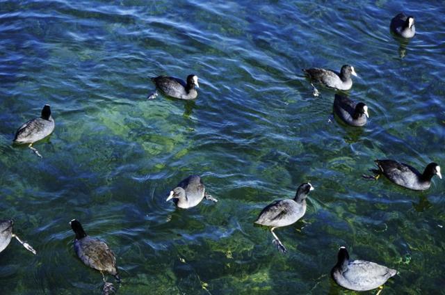 几月份去泸沽湖旅游好，去泸沽湖旅游哪个时间最合适（我被泸沽湖圈粉了）