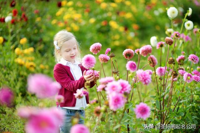 女宝宝的乳名大全，适合女宝宝的乳名有哪些（万一生了小公主）