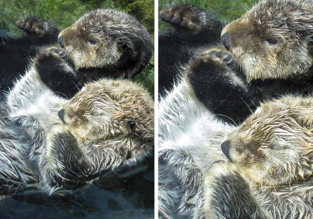 有趣的冷知识有哪些，有趣冷知识百科大全（10个有趣的冷知识）