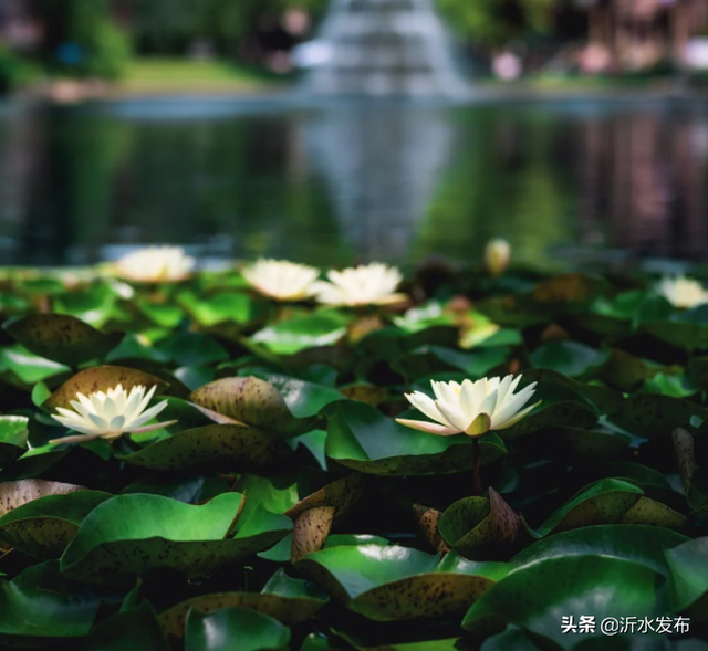 爱情小故事，爱情小故事睡前故事（中国古代八大爱情故事）