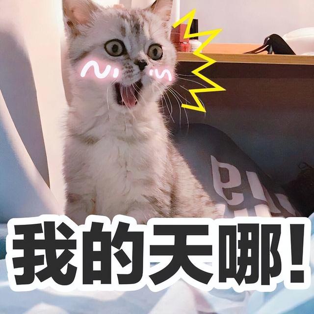 喵喵喵是什么梗，彩虹猫是什么梗（主人模仿猫咪“喵喵叫”时）
