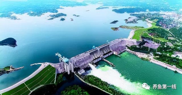 为什么兴建水坝时要留鱼道，河道能够修坝蓄水吗（低水头水利枢纽过鱼通道构建技术）