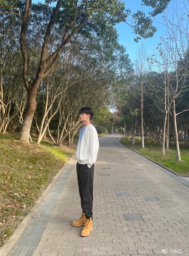 陈鹤一（陈鹤一简介，陈鹤一：从网红转型为演员（陈鹤一百度百科）