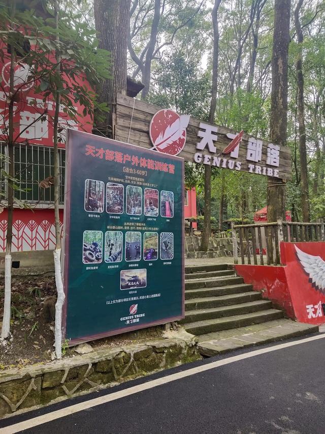歌乐山森林公园，重庆旅游必去景点（歌乐山国家森林公园）