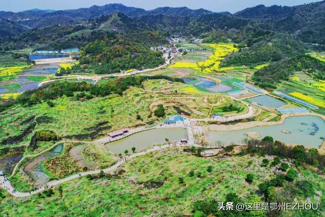 鄂州美食，鄂州美食图片（69万鄂城人最熟悉的味道都在这里）