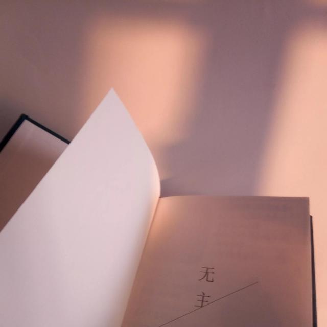 日落在爱情里的寓意，黄昏在爱情里代表什么（再见和日落的寓意都是未完待续）