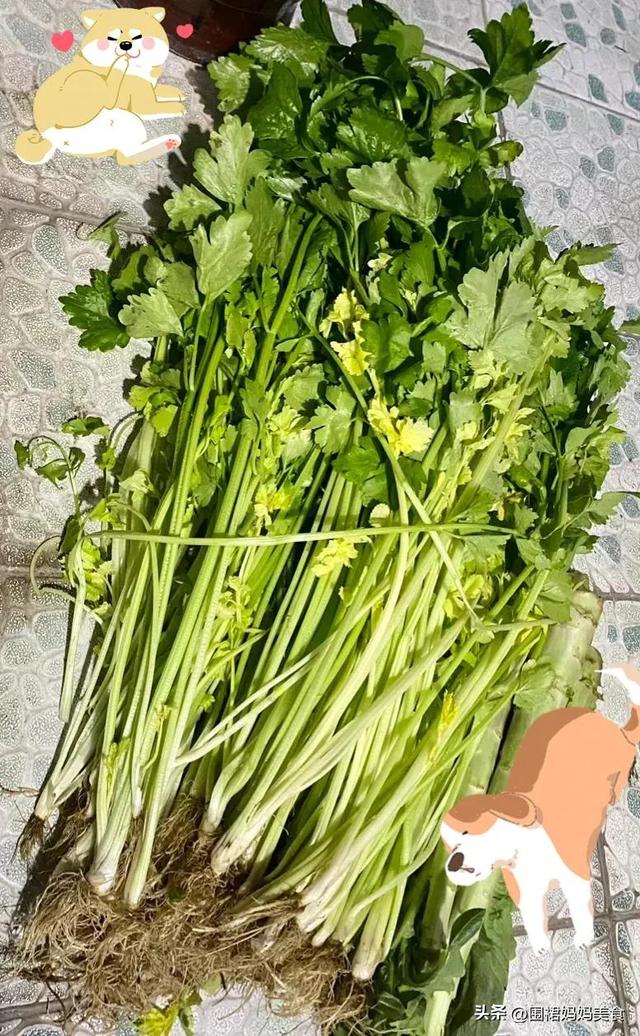 芹菜叶可以冷冻保存吗，芹菜可以放冰箱冷冻保存吗（芹菜像我这样保存）