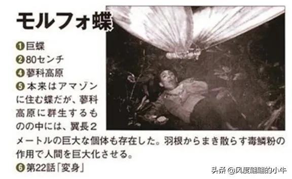 手q是什么意思，手Q是什么意思（奥特Q怪兽图鉴）