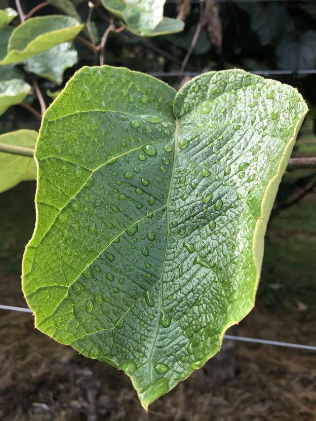 社交的弊端在哪里，大学生社交的成长预警