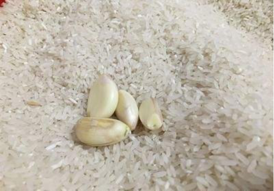 大米生虫子处理小诀窍，大米生虫子处理诀窍有哪些（米农教你3招）