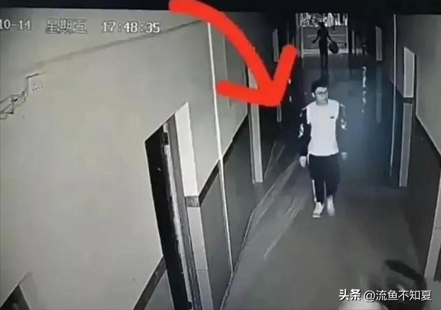猝死？他杀怎么做，猝死他杀任务（胡鑫宇尸检已完成）