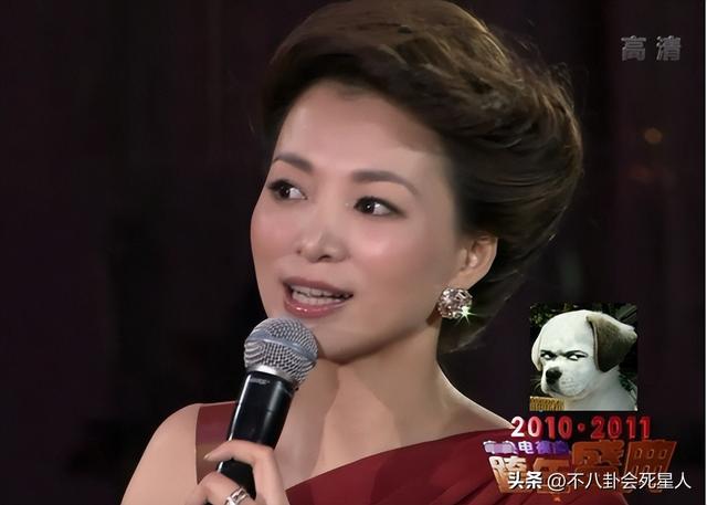 李思思是哪所大学的，李思思是哪毕业的（9位央视女主播的婚姻）