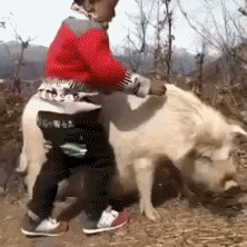 微信怎么添加表情包，微信上怎么快速添加自己的表情包（1分钟学会制作微信动态表情包）