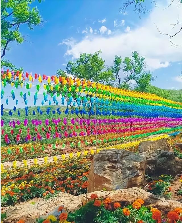 临朐旅游景点大全哪里最好，临朐旅游景点大全哪里最好10大景点（山水临朐暑期精彩线路系列推荐——弥河红色花海石海游）