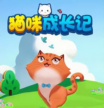 小猫喂猫粮喂多少 小猫喂猫粮不吃怎么办