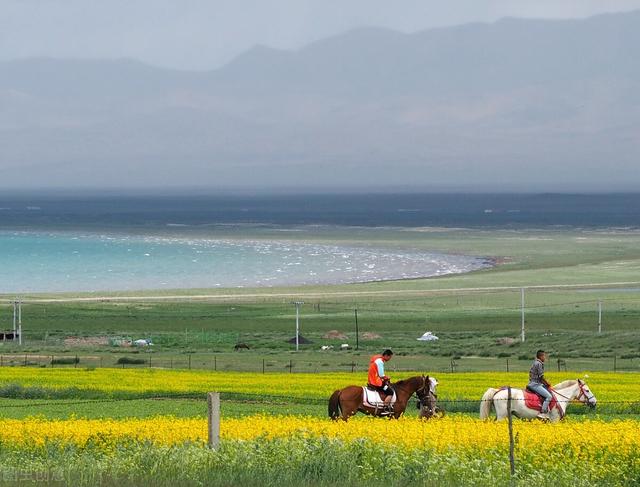 七八月份国内最佳旅游地方，七八月份国内最佳旅游地方溜娃（到这10个最佳旅游胜地）